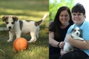 Jennifer Rhodia and her son Lukas are enjoying their time with Loki. (Photos courtesy of Jennifer Rhodia.)